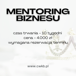 Mentoring Biznesu
